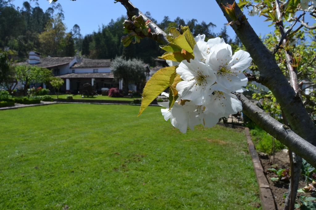 Quintal De Alem Do Ribeiro-Turismo Rural Лозан Екстер'єр фото